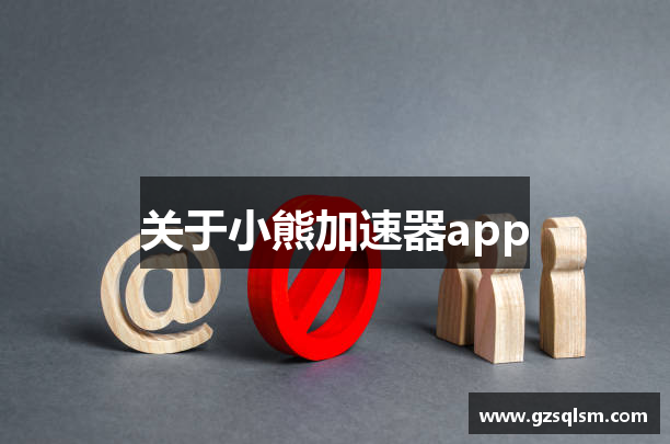 关于小熊加速器app